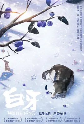另类亚洲视频
